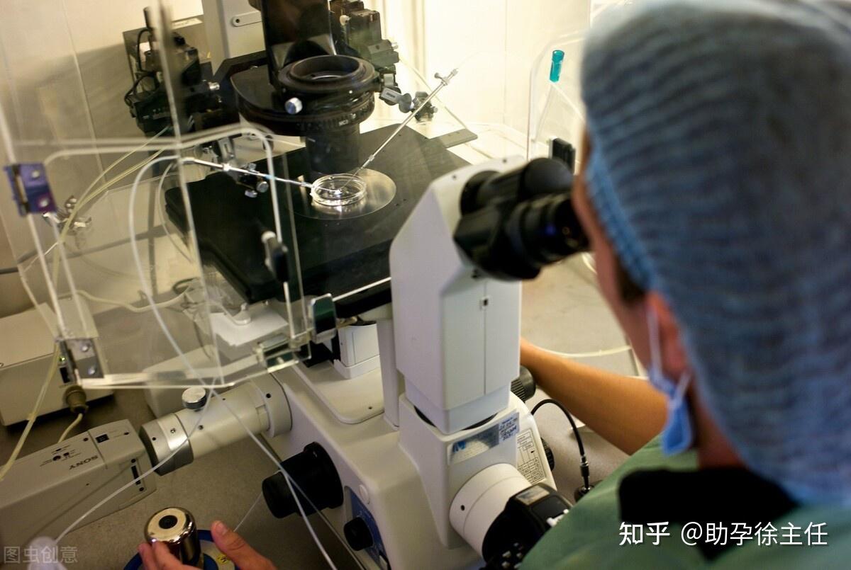 赵县奶牛同期化处理人工授精技术应用